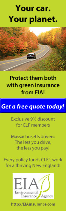Get a free quote today!