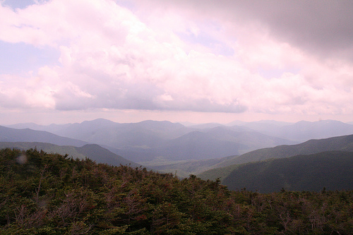 (photo credit: flickr/crschmidt)