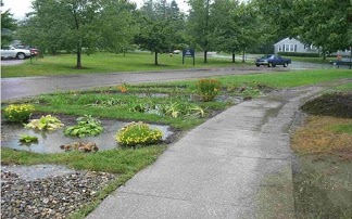 stream-cleanup stream-cleanup