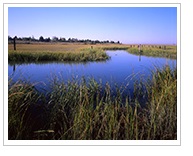Great Bay Estuary