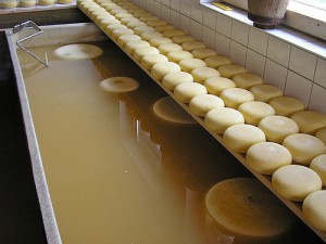recycling-food-waste
