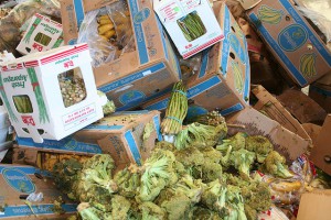 food-waste-disposal