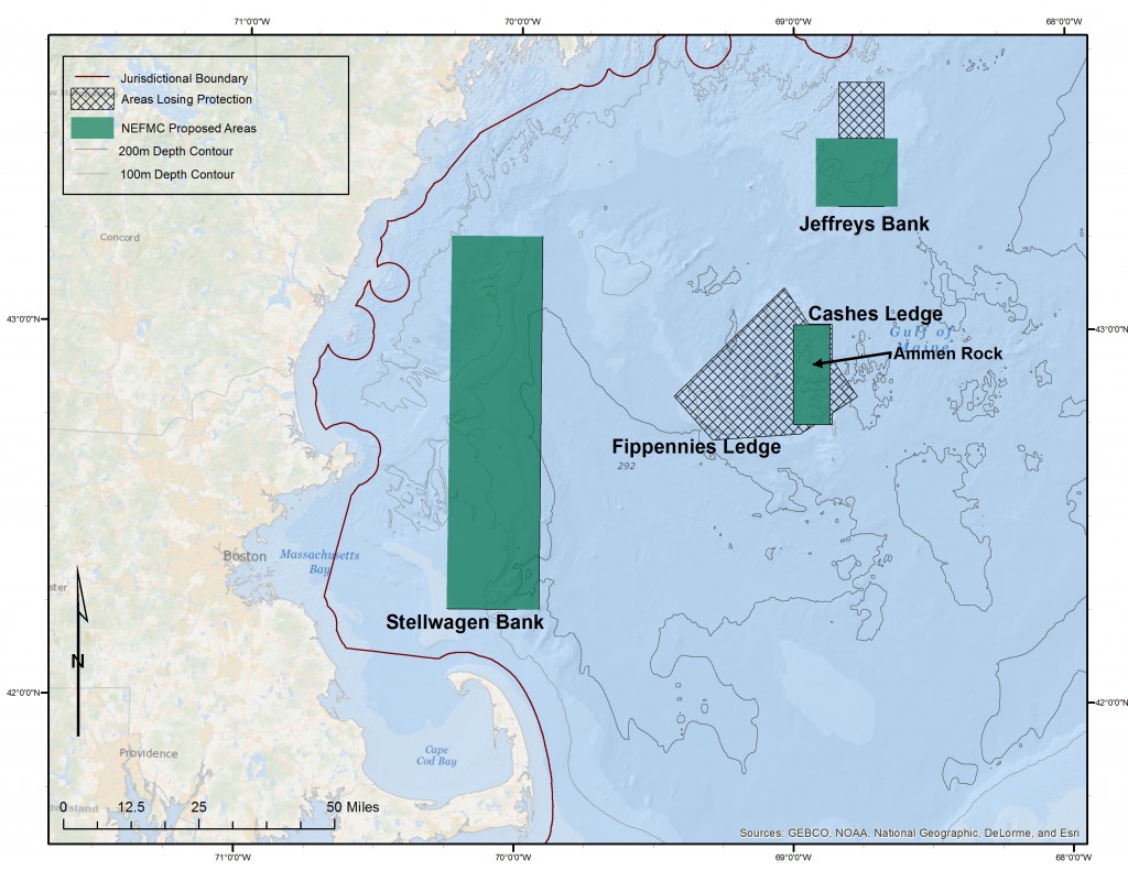 cashes-ledge-area The NEFMC's current proposal would eliminate protection for nearly three quarters of the current protected area around Cashes Ledge.