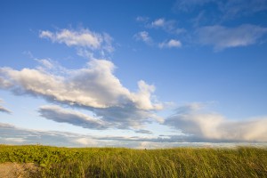 national-action-for-cleaner-air