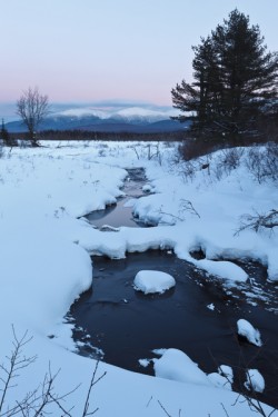 (credit: EcoPhotography)