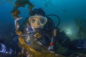 Sylvia dives at Cashes Ledge. Photo:Kip Evans/Mission Blue