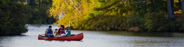 New Hampshire conservation
