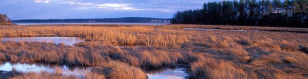 Great Bay–Piscataqua Waterkeeper