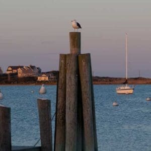 Ocean Special Area Management Plan