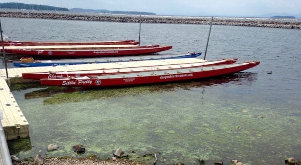 Algae blooms on Lake Champlain