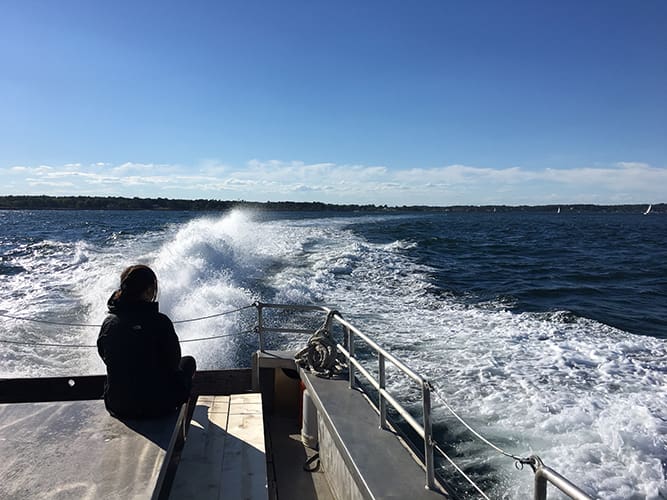 Northeast Ocean Plan