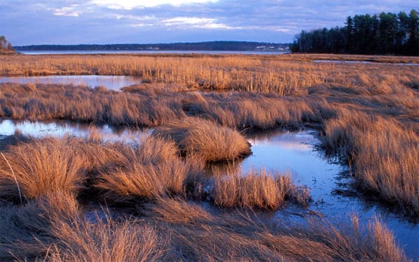 Photo: Great Bay Estuary | EcoPhotography