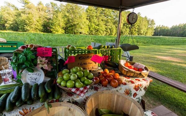 Farmstand