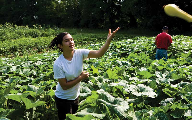 Farmer at Nuestras Raices in Holyoke, MA