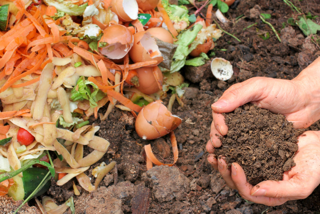 Composting food scraps