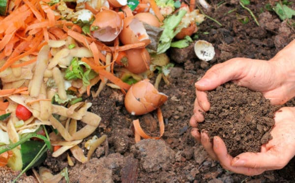 Composting food scraps