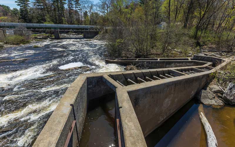 Royal River fish ladder