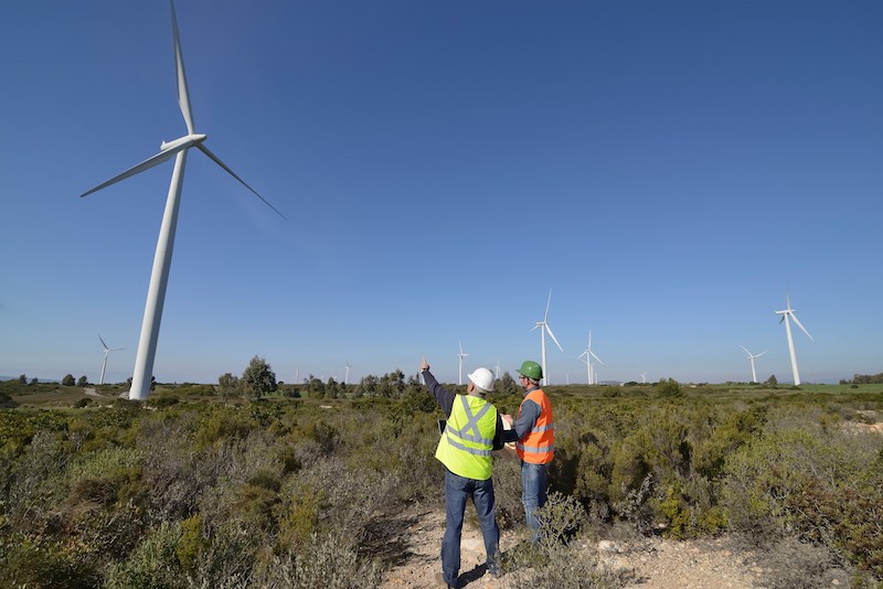 A Renewable Portfolio Standard helps boost jobs in the clean energy industry