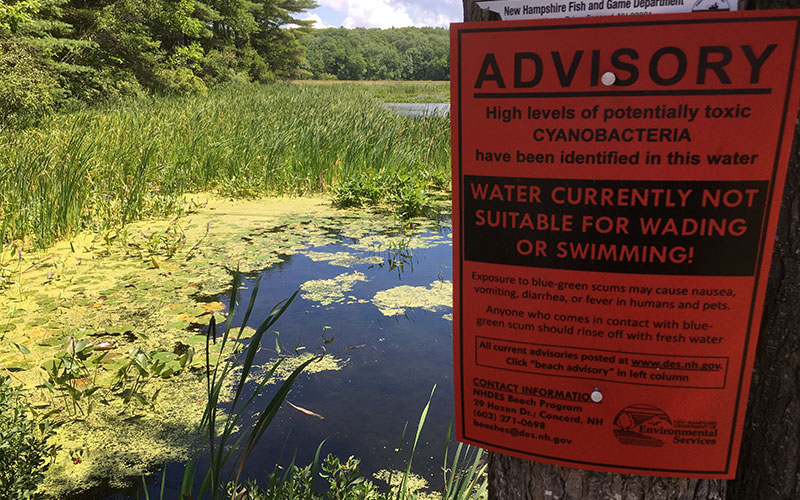 Protecting New Hampshire's Rivers and Lakes from Toxic Blue-green Algae |  Conservation Law Foundation