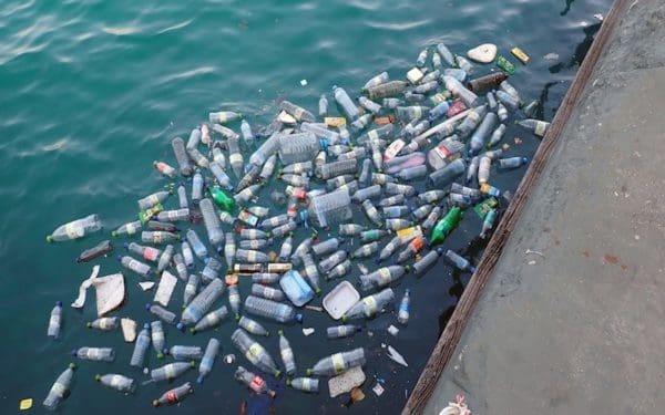 Plastic pollution