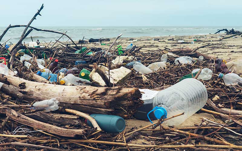 plastic pollution is harming our beaches