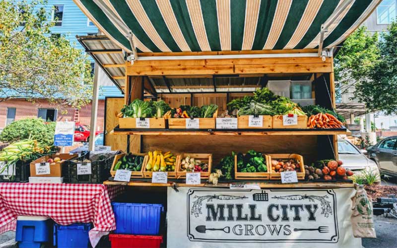 The Power of Urban Agriculture in Transforming a Community