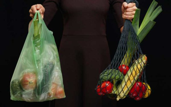 Plastic Grocery Bag vs Reusable Grocery Bag
