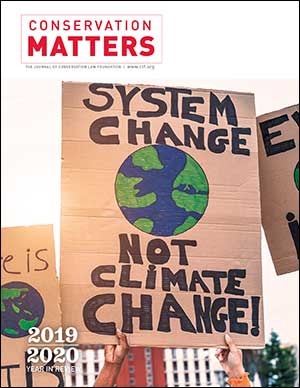 Conservation Matters Summer 2020