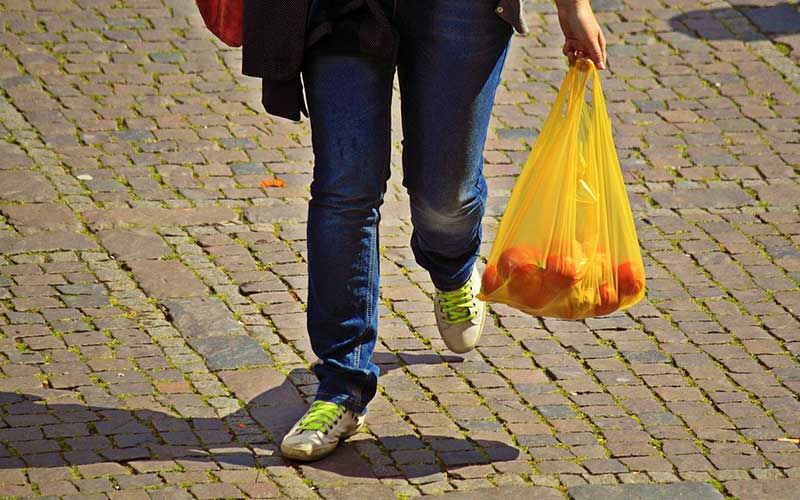Person carrying groceries in plastic bag
