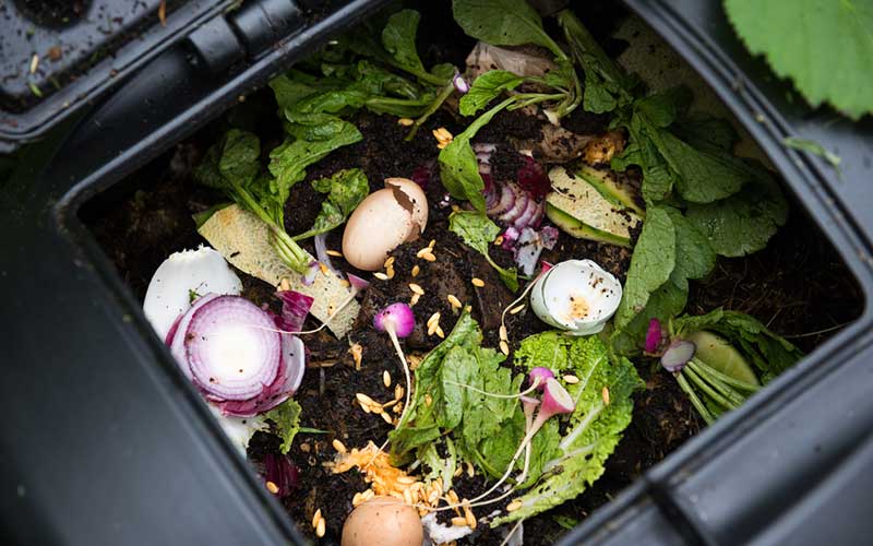 compost bin with food scraps