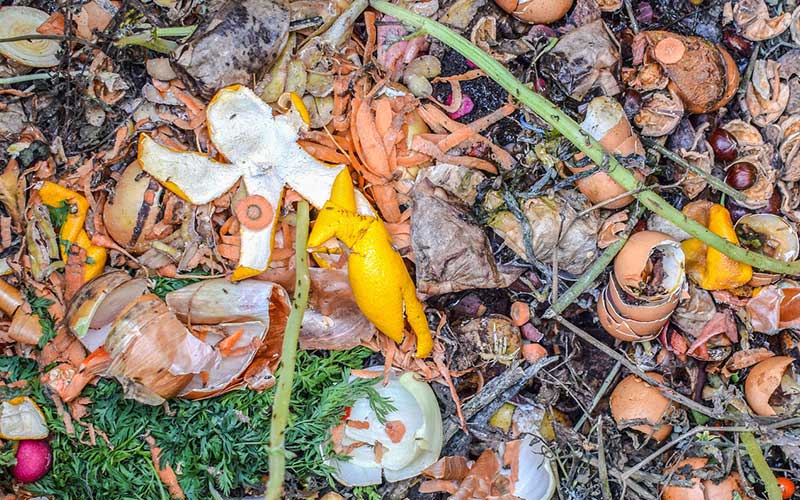 What is the meaning of food waste? - Contital Srl