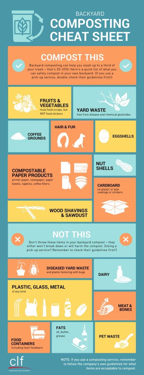 Infographic: What Should You Be Composting in Your Backyard ...