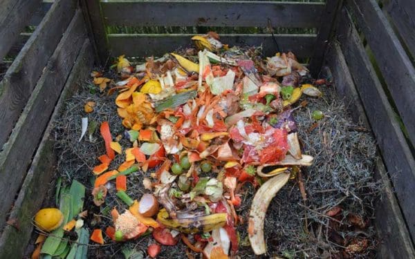 compost bin with food scraps