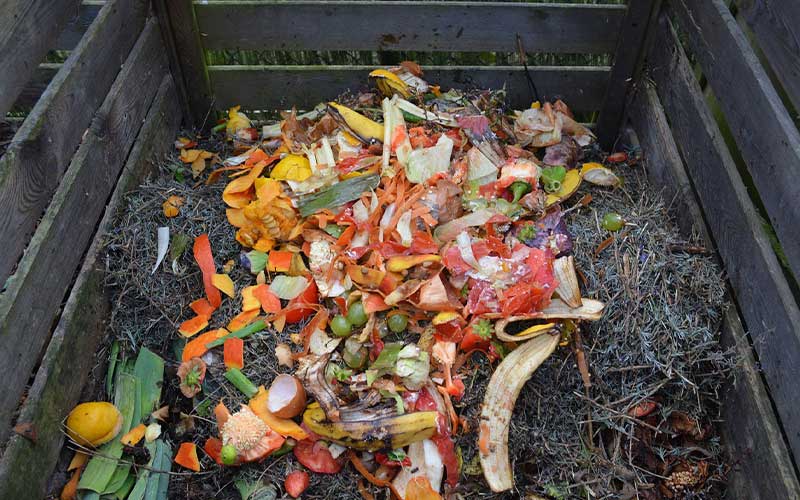 compost bin with food scraps