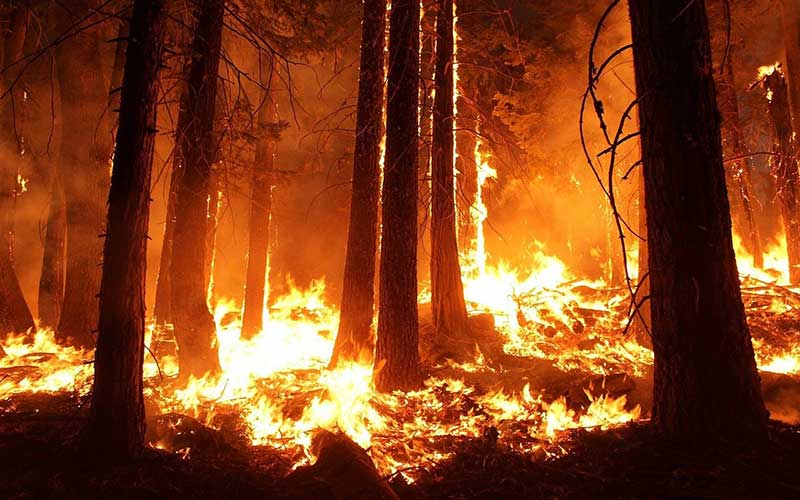 Climate inaction made the California wildfires much worse