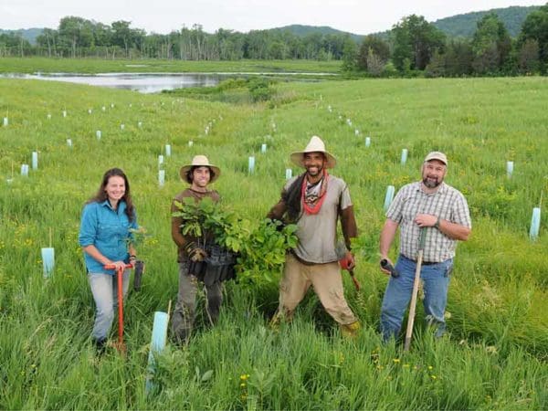 local residents work on Vermont restoration project during the COVID-19 pandemic. Four people planting trees.