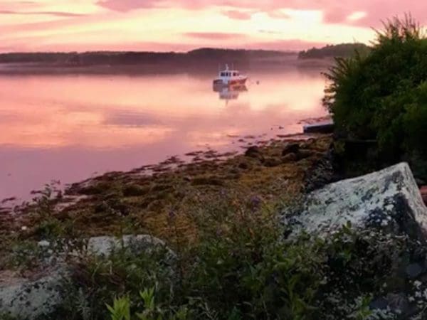 Conservation Law Foundation's Great Bay–Piscataqua Waterkeeper shares a wave of good news to celebrate the power community action in 2020.