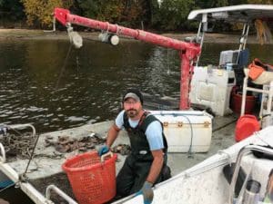 Beyond helping the economy, oysters are wonderful water-cleaning machines. Photo: Melissa Paly.