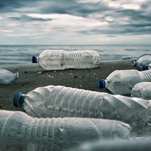 Plastic bottles next to ocean