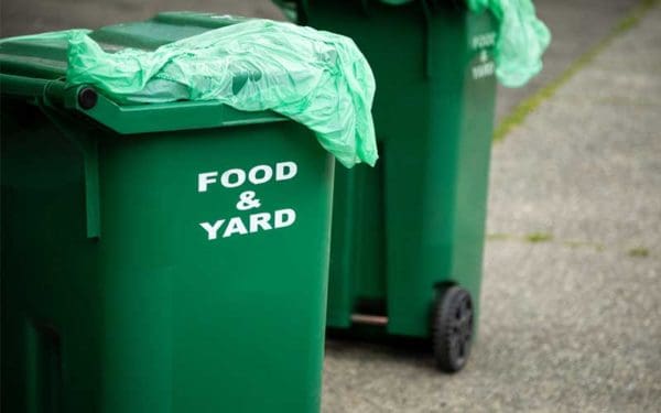 curbside composting bin