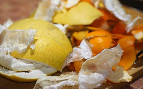 lemon and orange food scraps