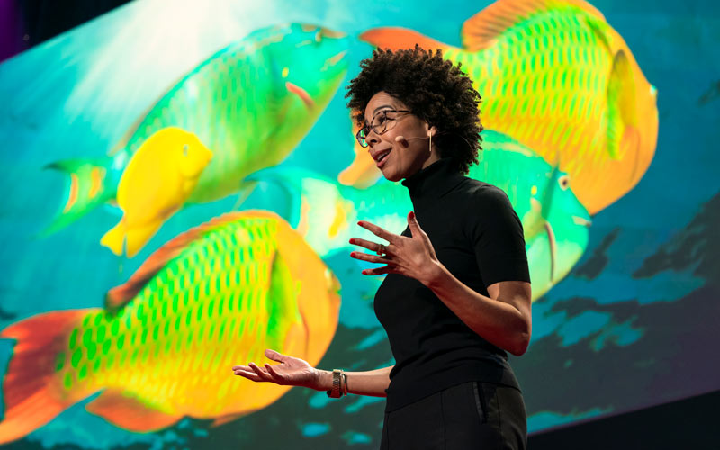 Dr. Ayana Johnson shares her views and hopes for the future of the ocean conservation movement.