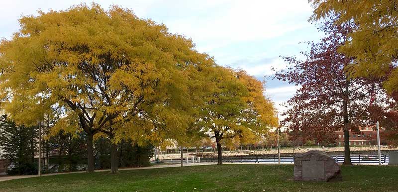 Porzio Park East Boston for a picnic on Boston Harbor