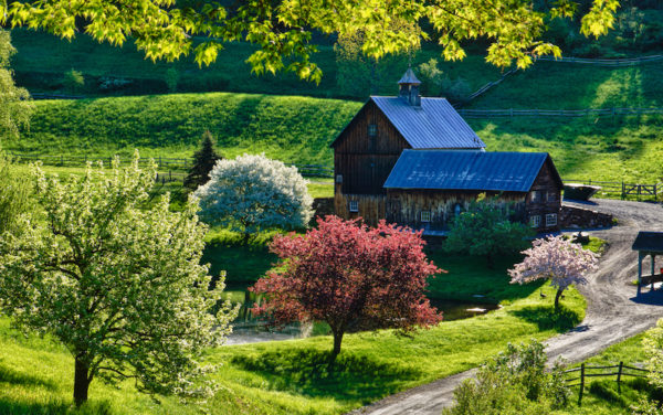 The new Vermont Climate Action Plan charts a roadmap towards achieving the state's recent climate law.