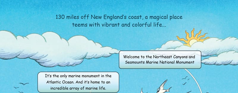 130 Miles of New England's coast, a magical place teems with vibrant and colorful life... the Northeast Canyons and Seamounts Marine National Monument