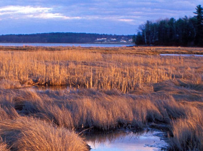 Great Bay–Piscataqua Waterkeeper