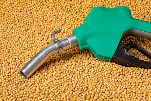 Biofuels, like those created from soybeans, are not a climate solution at scale.