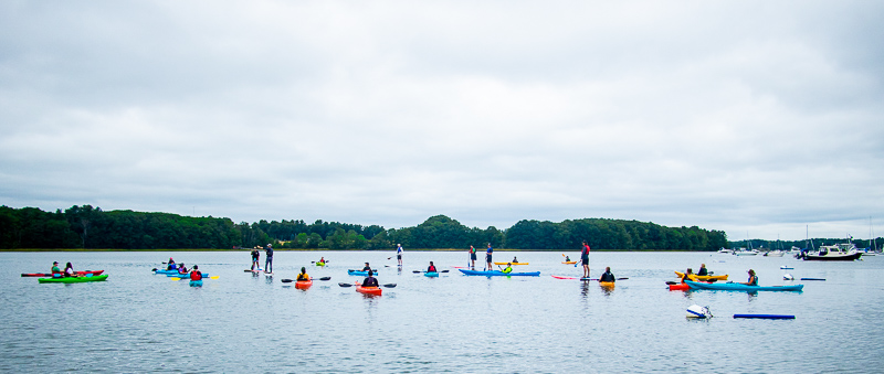Volunteers get on water on stand-up paddleboards and kayaks to clean up parts of the Great Bay estuary.