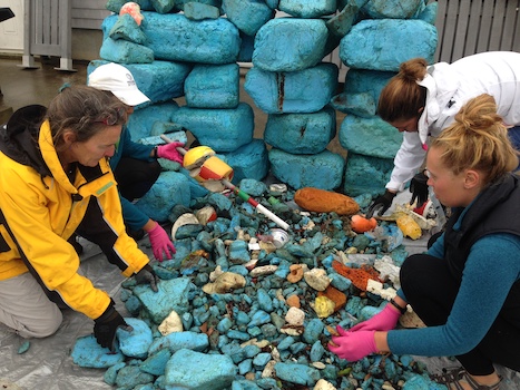 Volunteers sort dock foam pollution