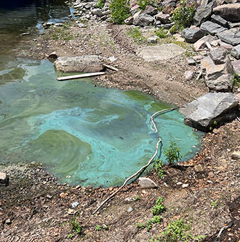 Blue-green algae outbreak on Lake Champlain